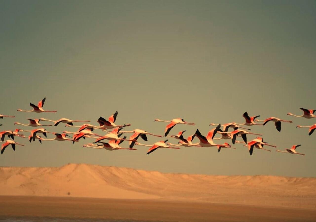 Paraiso Dakhla Luaran gambar